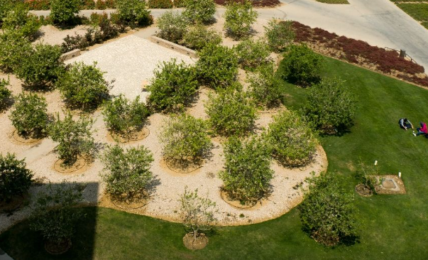 Landscape advantages